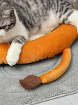 Cat Kennel Soft and Comfortable Pet Bed Winter Warm Cozy Cat Shelter Pet Supplies for a Comfortable and Restful Sleep — photo 11