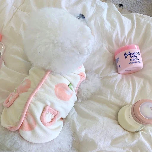 Title 5, Peach Pet voor Katten, Kleine Puppys en Teddy,...