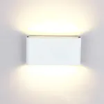 White Shell Neutral Light