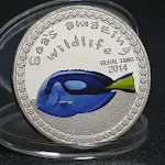 Silver 8