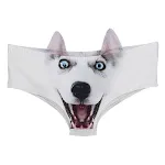 A Dog