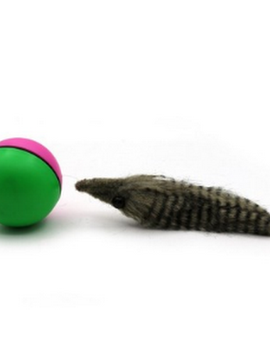 Image product - 1