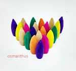 Osmanthus