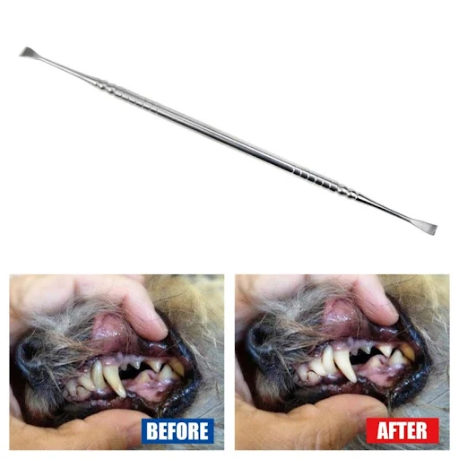Dog Teeth Scaler Hygiene- Teeth Cleaning Veterinary- Double Headed Spatula Double Headed Tarter Remover/Scraper — photo 6