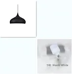 Black Warm White