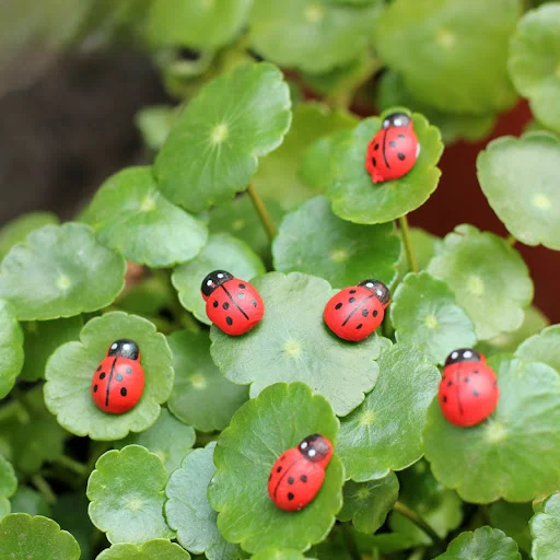 Title 2, Wooden crafts self-adhesive Christmas LADYBIRD ...