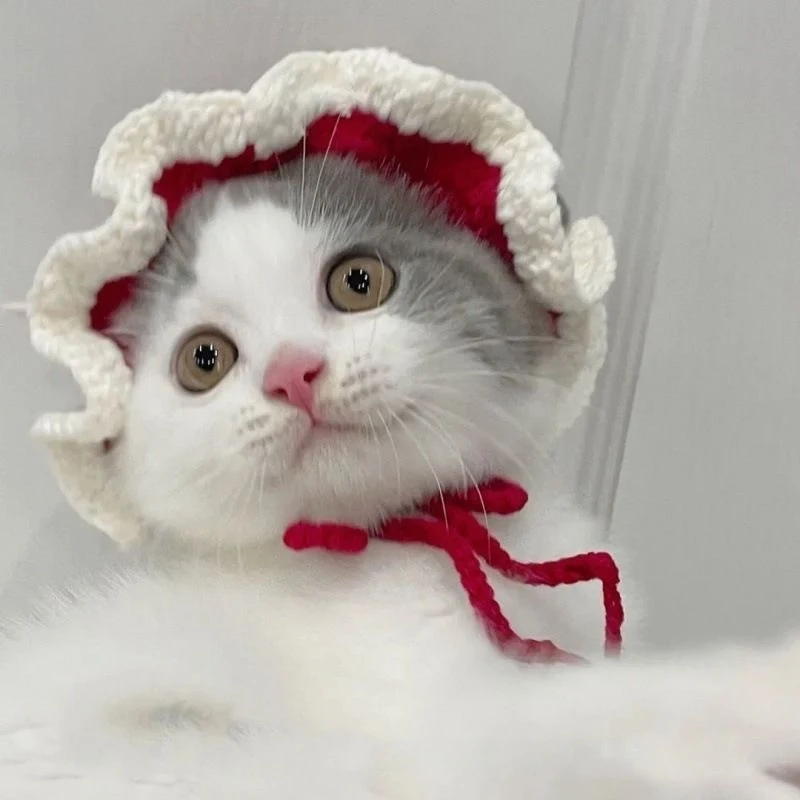 Pet Hood Cat Dog Knitted Hat Prop Headdress Funny Costume Accessory Perfect for Photoshoots and keeping your pet warm an — photo 28