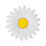 miniatures image - 1