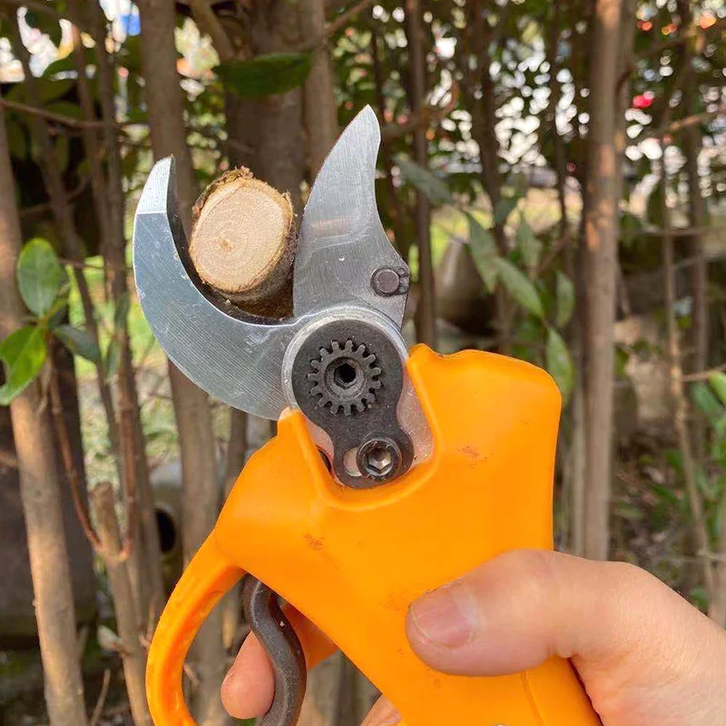 product image - 3