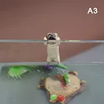 A3