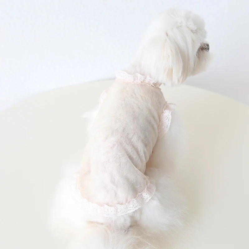 Lace Yarn Vest for Dogs & Cats, Anti-lint, Sexy Pet Clothes, stylish & comfortable apparel, perfect for your furry frien — photo 29