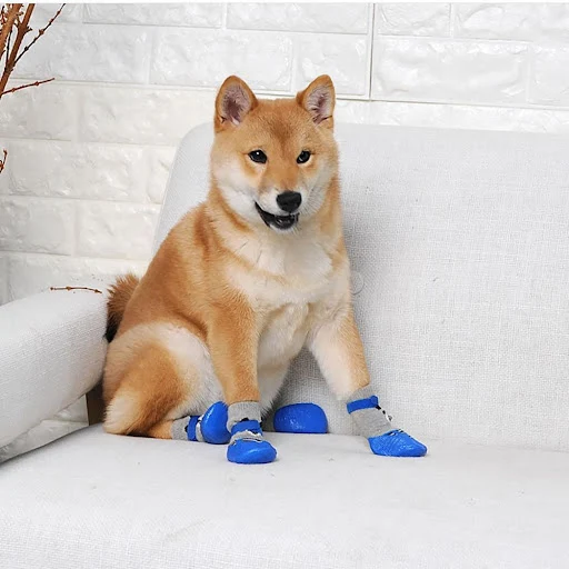 product image - 1