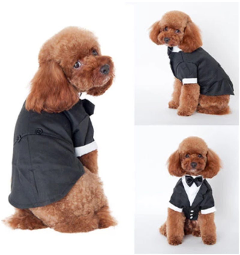 product image - 4