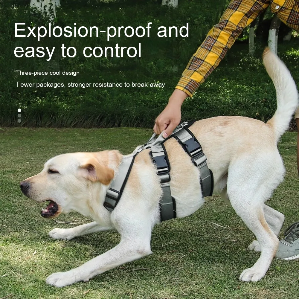 product image - 17