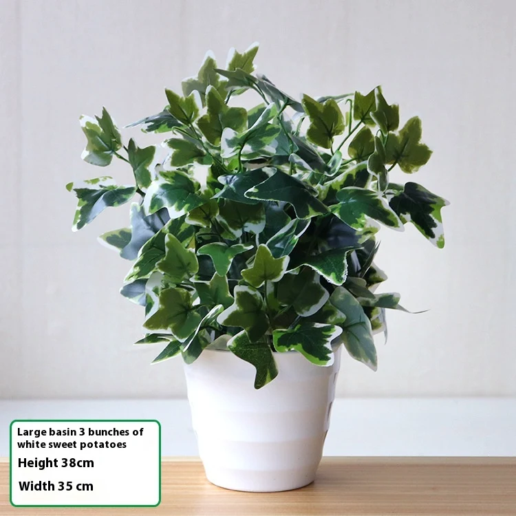 product image - 25