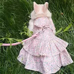 miniatures image - 0