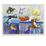 Polar Animal Puzzle