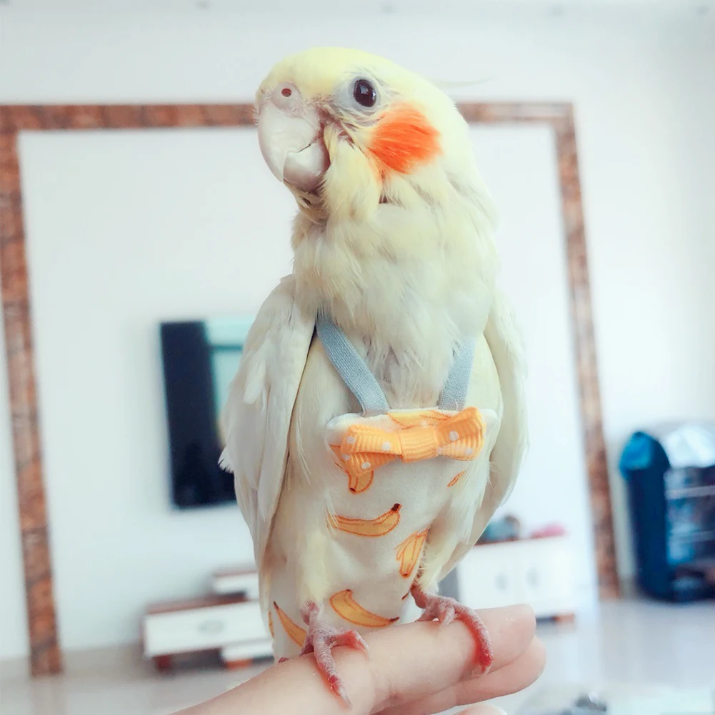 Title 16, Parrot Diaper with Bowtie Cute Colorful Fruit F...