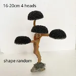 16-20cm 4 heads