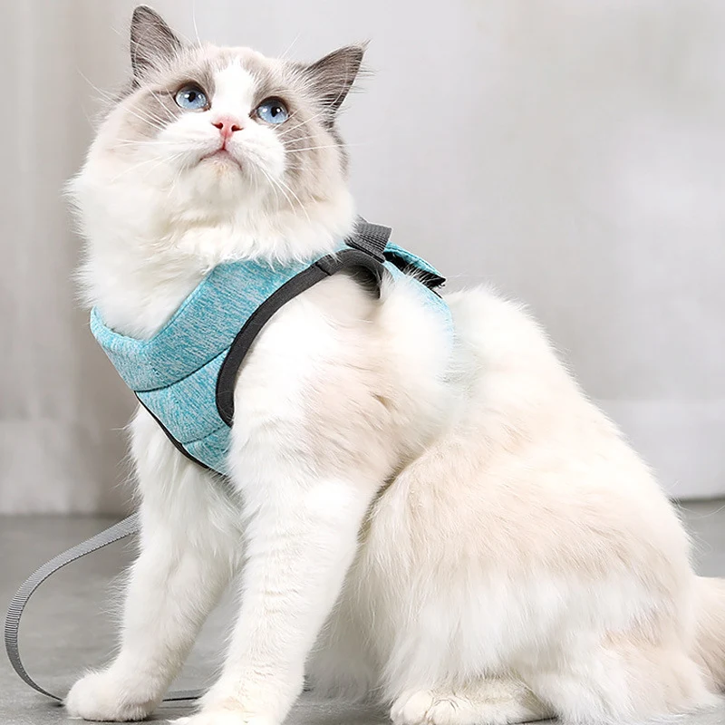 Title 1, Breathable Lightweight Cat Leash Lace Rope Ches...
