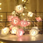 White rose pink rose