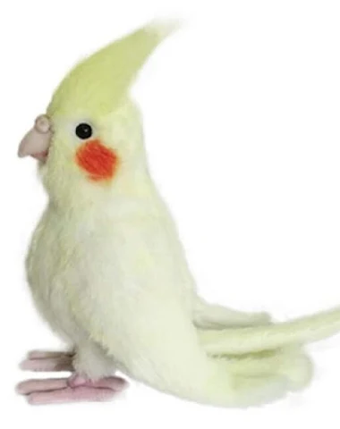 Image product - 1