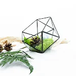 miniatures image - 1