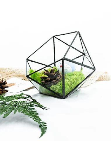 Image product - 1