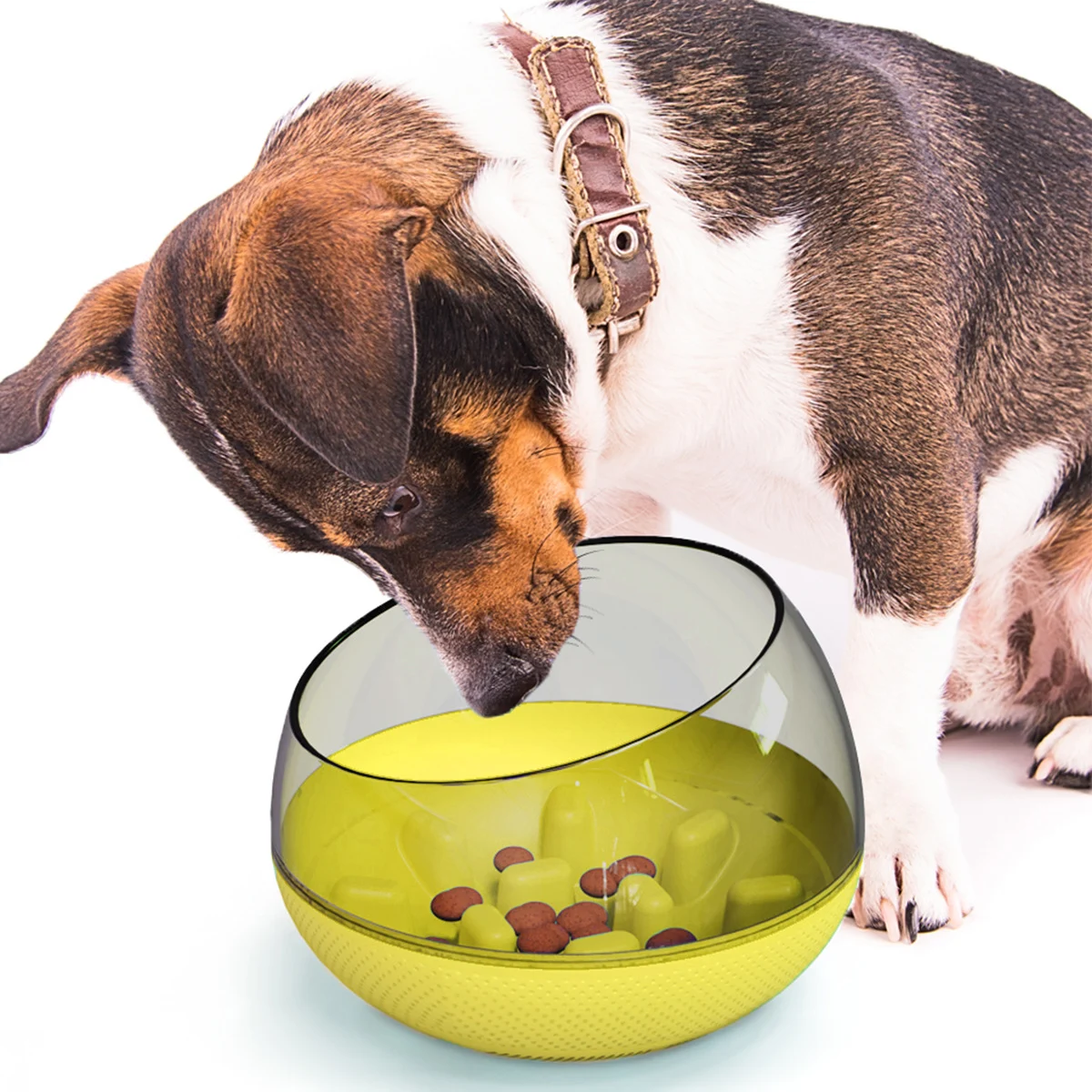 Title 1, Comedouro lento para cães e gatos Promove refei...