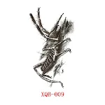 XQB 009