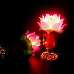 miniatures image - 0