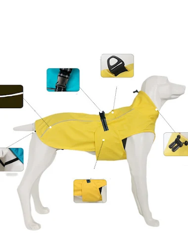 Image product - 1