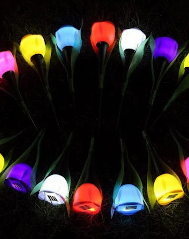 Image product - 2
