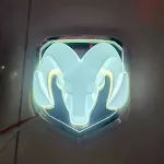 White middle