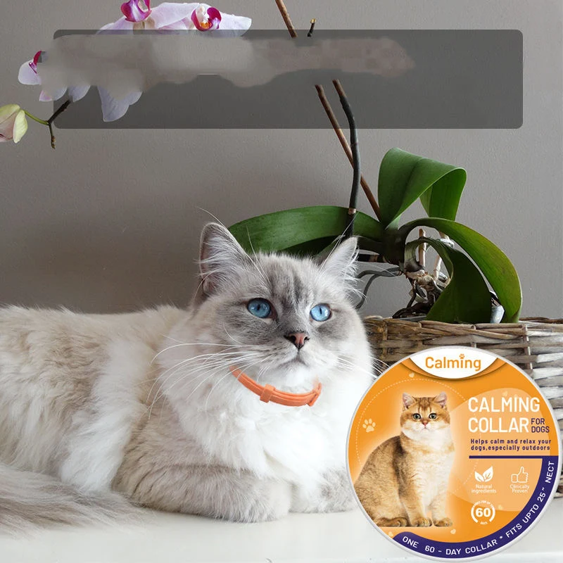 product image - 10