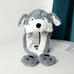 Gray Puppy