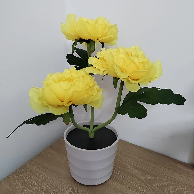 product image - 2