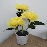 miniatures image - 2