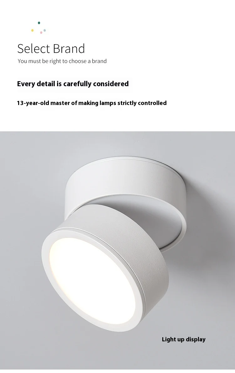 Title 23, Adjustable Angle Surface Mounted LED Spotlight ...