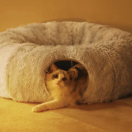 2 In 1 Round Cat Beds House Funny Cat Tunnel Toy Soft Long Plush Dog Bed Kittens Bed Mat Kennel Deep Sleep Pet Nest — photo 6
