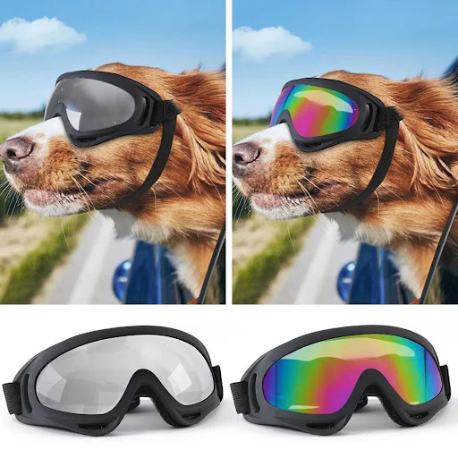 Windproof Dog Glasses Uv Protection Dog Goggles for Small to Medium Breed Dogs Windproof Anti-fog Puppy Sunglasses for D — photo 6
