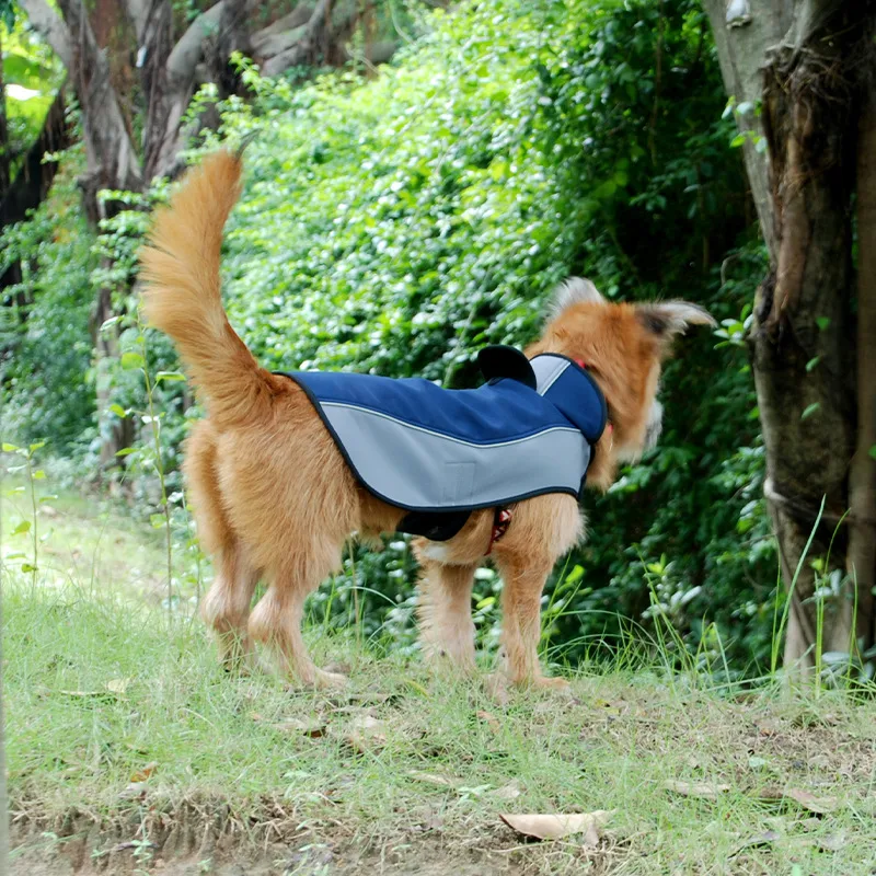 Title 4, Impermeable y transpirable Stormsuit para perro...