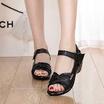Black 43