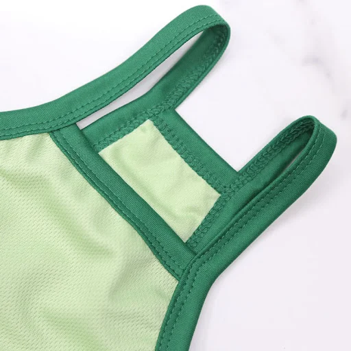 Title 5, Pet Avocado Camisole Mesh Breathable Clothes fo...