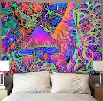 8color