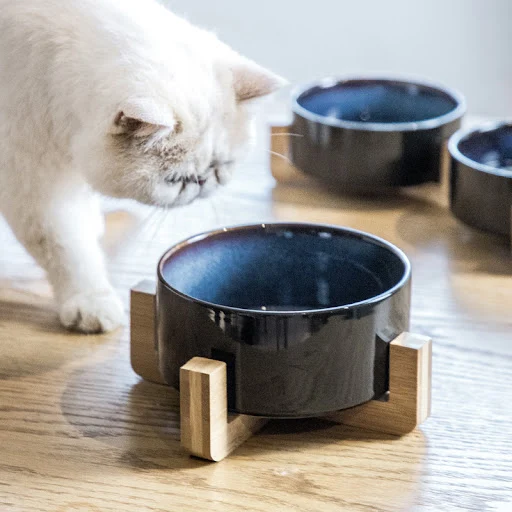 Title 4, Starry Sky Ceramic Cat Bowl with Wooden Frame a...