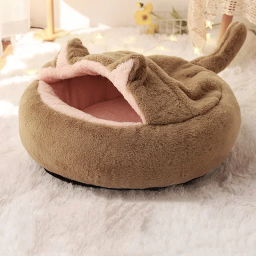 Title 5, Small dog kennel for sleeping. Provide your sma...
