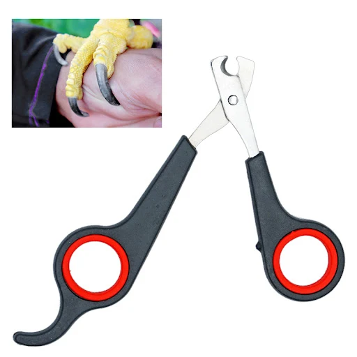 Pet Bird Parrot Small Animals Accessory Grooming Tool Nail Scissors Clipper Black And Red — photo 2