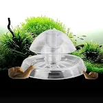 Snail Trap Catcher Aquarium Fish Plant Tank Plastic Clear Pest Catch Box Leech Environment Plants Planarian Cleaner Tool — photo 4