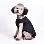 Warm Leisure Pet Dog Clothes Vest Warm pet wear, perfect for keeping your dog comfortable and warm during cold weather a — photo 4